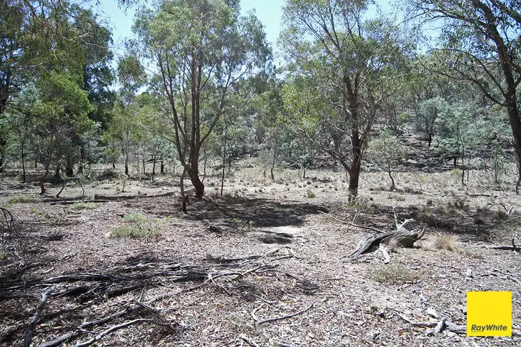 Seventh view of Homely land listing, 200 Neils Creek Road, Bungendore NSW 2621