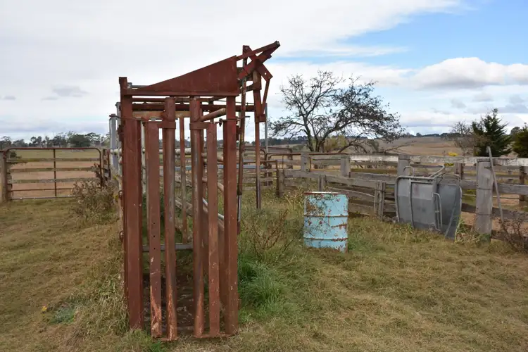 Fifth view of Homely rural property listing, 1325 Red Range Road, Glen Innes NSW 2370