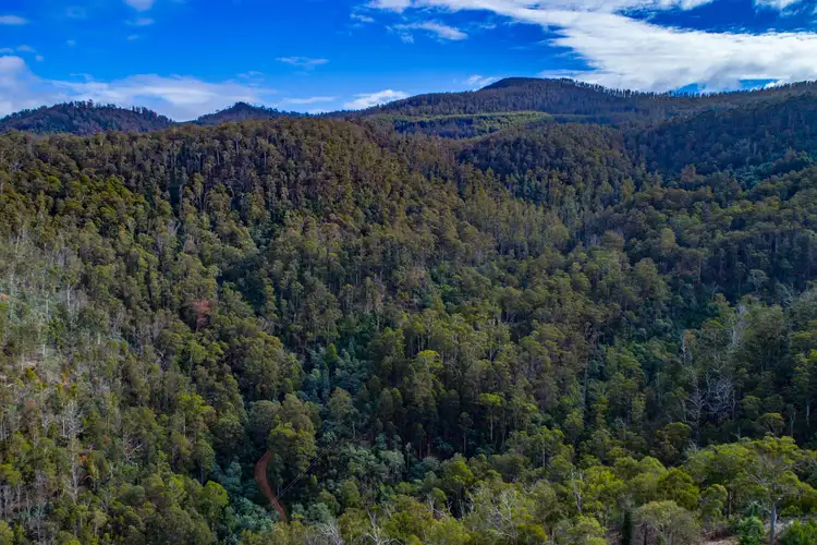 Second view of Homely land listing, 869 Back River Road, Magra TAS 7140