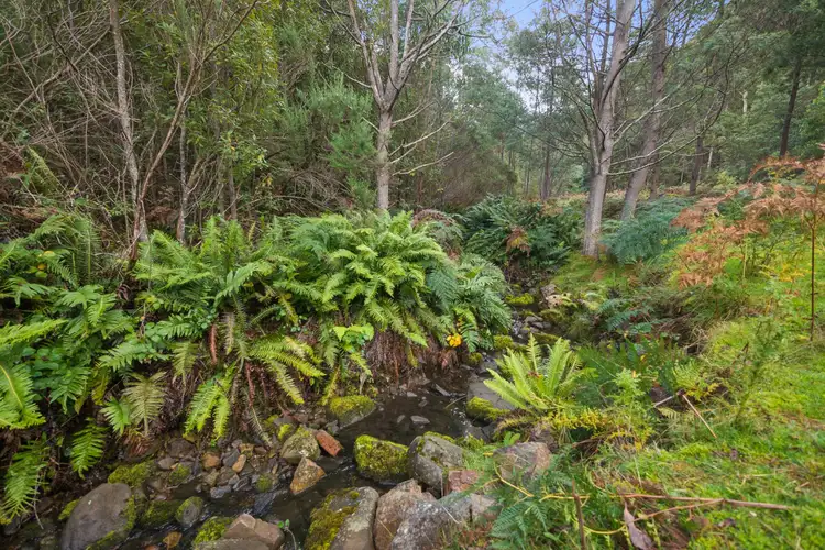 Sixth view of Homely land listing, 869 Back River Road, Magra TAS 7140