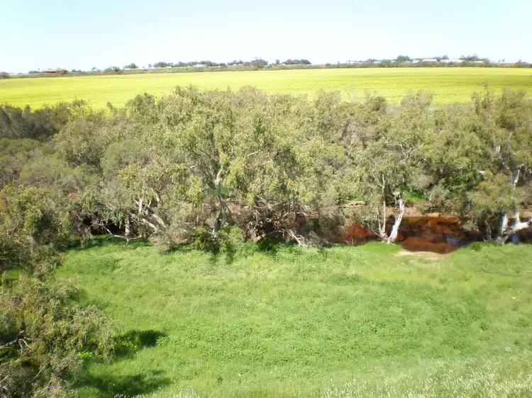 Sixth view of Homely land listing, 445 Horwood Road, Moonyoonooka WA 6532