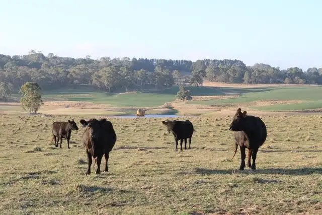 Fourth view of Homely rural property listing, 238 Harveys Road, Oberon NSW 2787