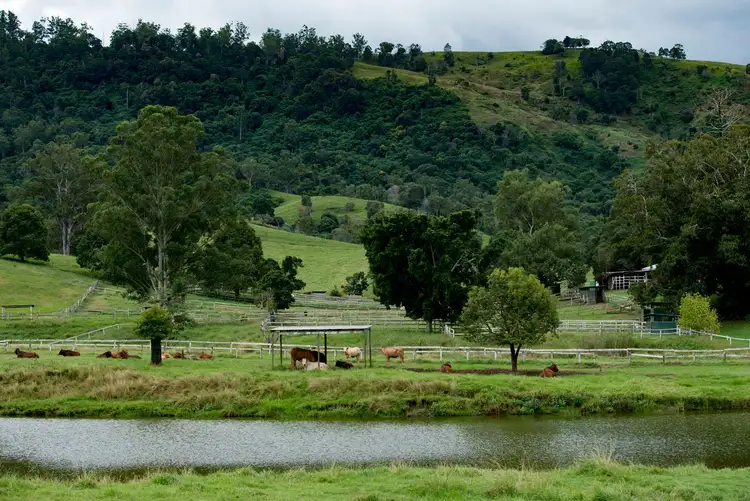 Second view of Homely rural property listing, 528 Mount Pleasant Road, Mount Pleasant QLD 4521