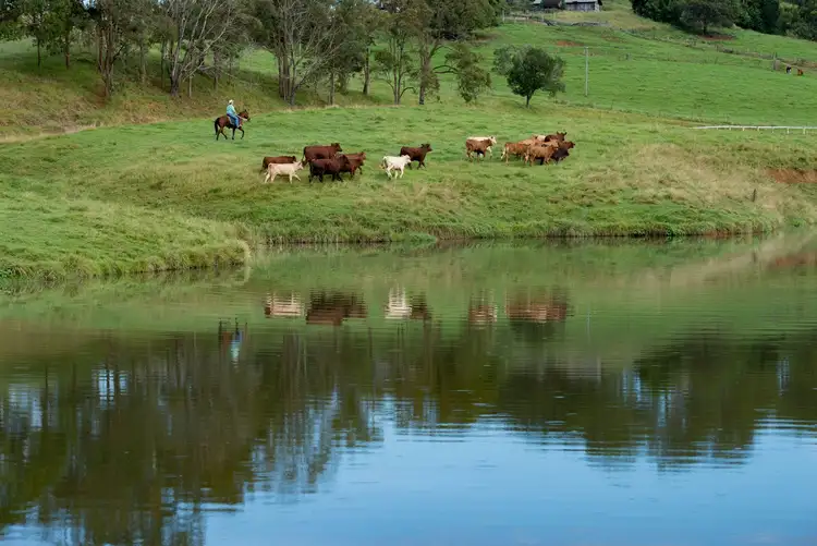 Third view of Homely rural property listing, 528 Mount Pleasant Road, Mount Pleasant QLD 4521
