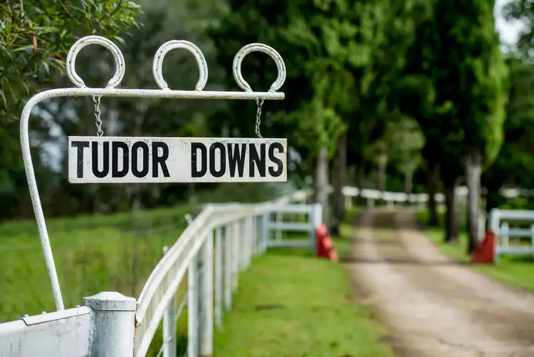 Fifth view of Homely rural property listing, 528 Mount Pleasant Road, Mount Pleasant QLD 4521