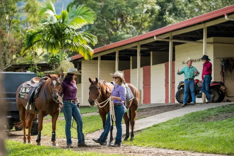 Sixth view of Homely rural property listing, 528 Mount Pleasant Road, Mount Pleasant QLD 4521