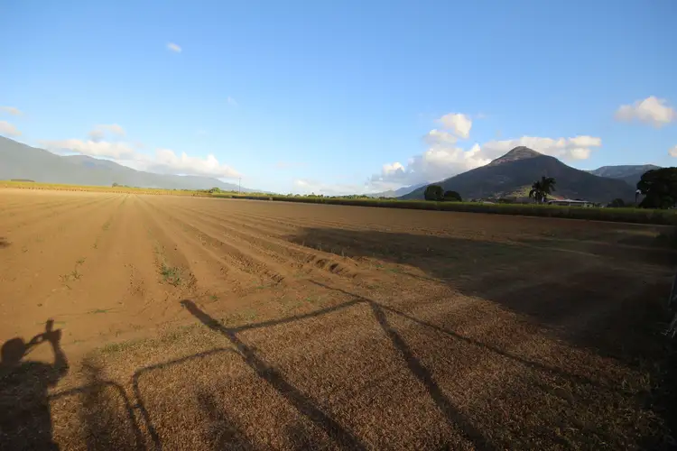 33 Campbell Street, Gordonvale QLD 4865