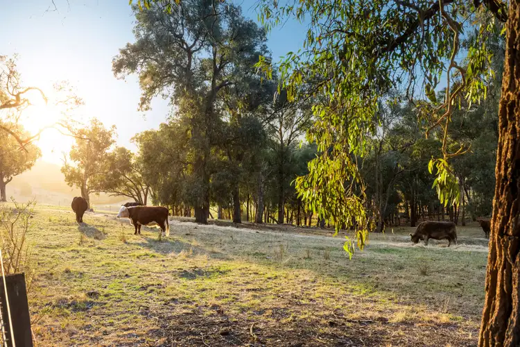 Third view of Homely land listing, 35 Flat Rock Road, Kangaroo Ground VIC 3097