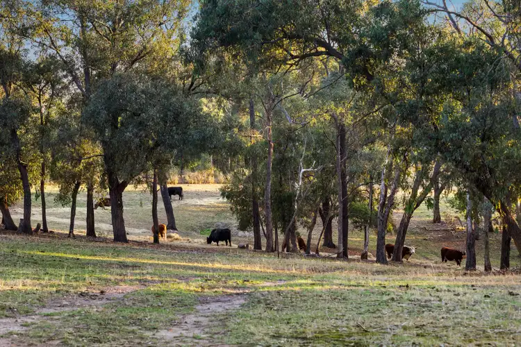 Fifth view of Homely land listing, 35 Flat Rock Road, Kangaroo Ground VIC 3097