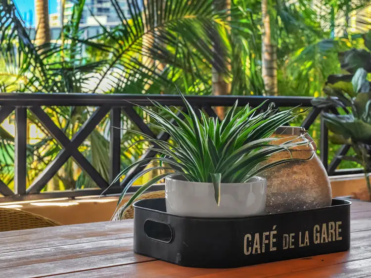 Third view of Homely apartment listing, 12/49 Racecourse Road, Hamilton QLD 4007