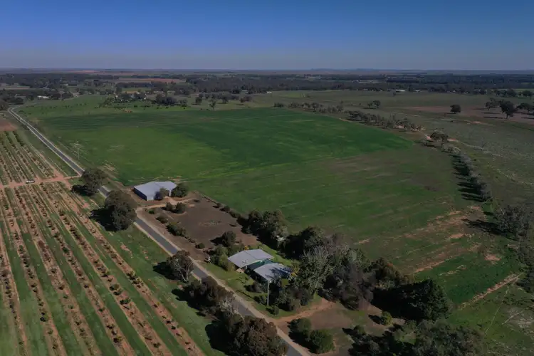 Seventh view of Homely rural property listing, 445 Torrumbarry Weir Road, Torrumbarry VIC 3562