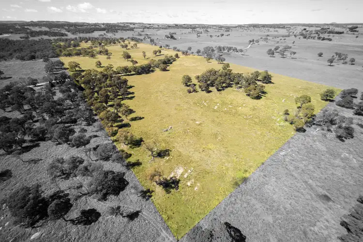 Main view of Homely rural property listing, 0 Donnelly's, Glen Innes NSW 2370
