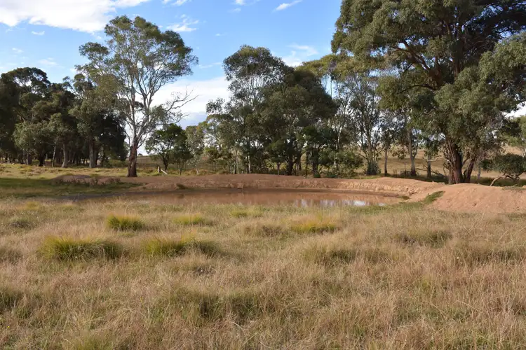 Third view of Homely rural property listing, 0 Donnelly's, Glen Innes NSW 2370