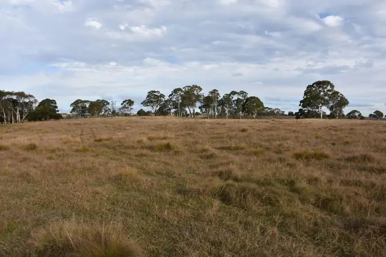Fourth view of Homely rural property listing, 0 Donnelly's, Glen Innes NSW 2370