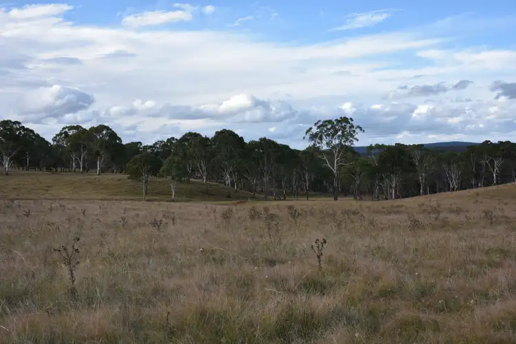 Fifth view of Homely rural property listing, 0 Donnelly's, Glen Innes NSW 2370
