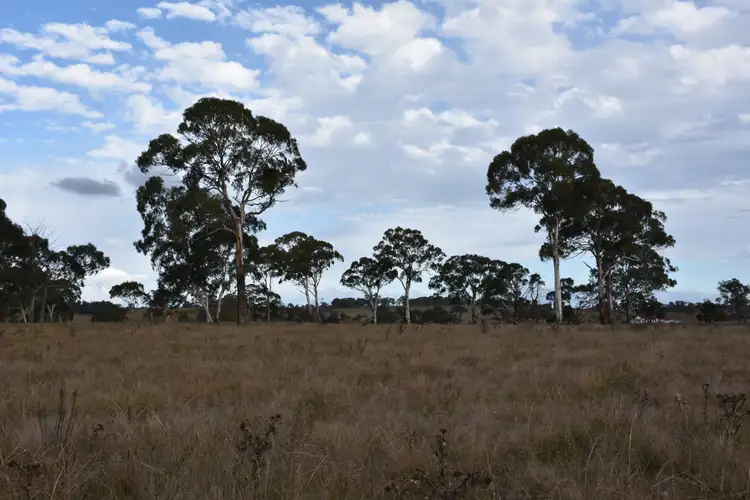 Sixth view of Homely rural property listing, 0 Donnelly's, Glen Innes NSW 2370