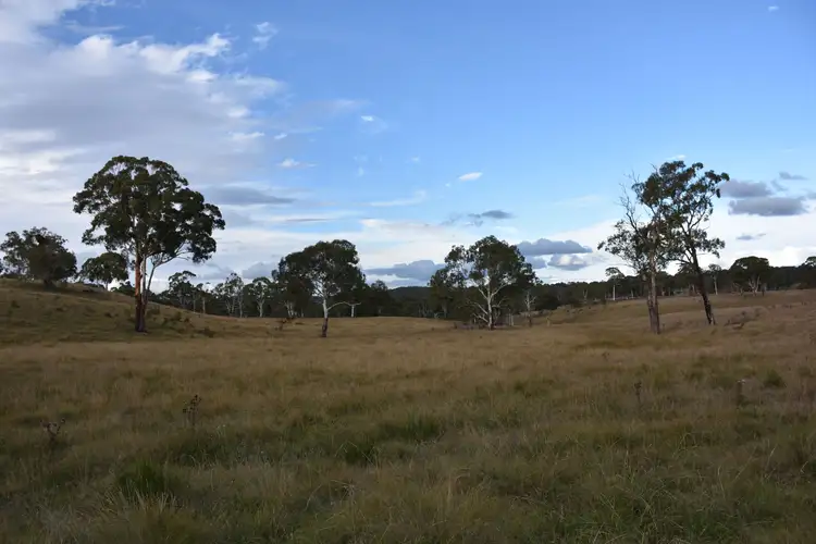 Seventh view of Homely rural property listing, 0 Donnelly's, Glen Innes NSW 2370