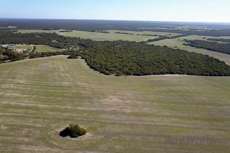 Seventh view of Homely rural property listing, Address available on request