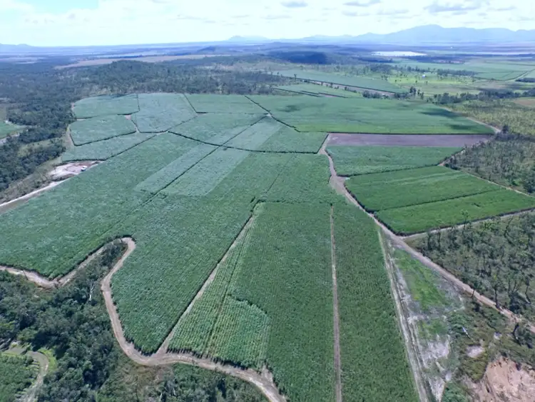 Third view of Homely rural property listing, 1426 Kelsey Creek Road, Proserpine QLD 4800
