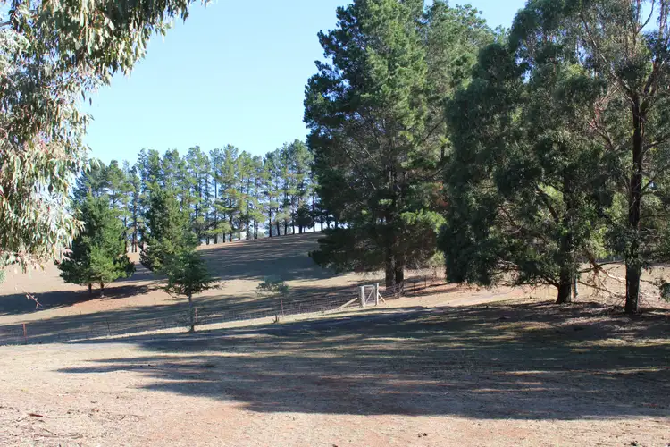 Sixth view of Homely rural property listing, Address available on request