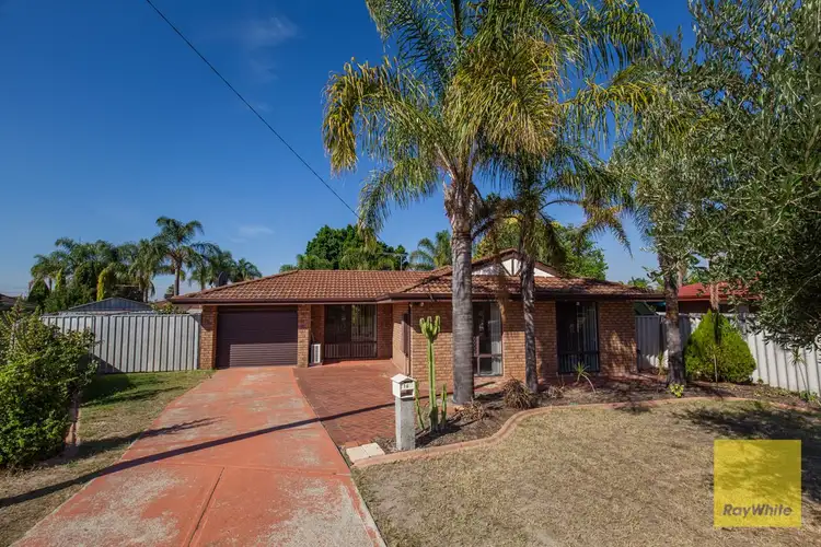 Third view of Homely house listing, 16 Salween Place, Beechboro WA 6063