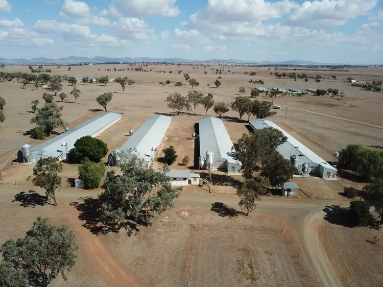 Main view of Homely rural property listing, 244 - 346 Gidley Siding Road, Tamworth NSW 2340