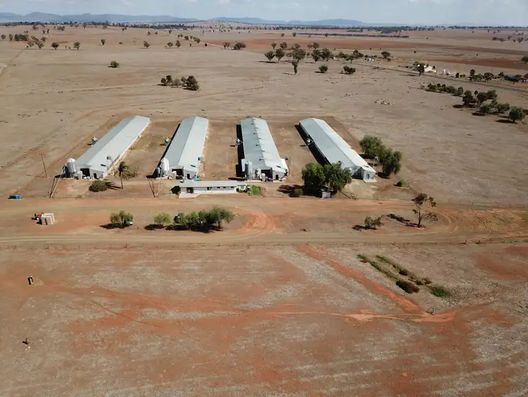 Second view of Homely rural property listing, 244 - 346 Gidley Siding Road, Tamworth NSW 2340