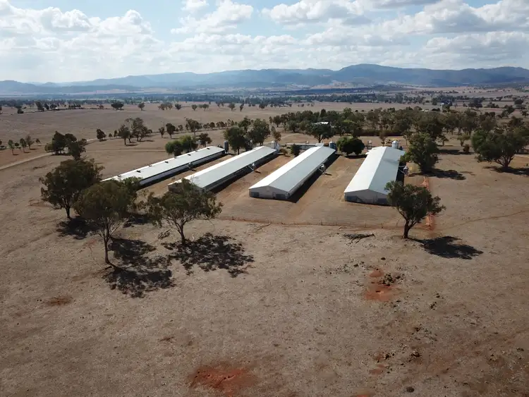 Third view of Homely rural property listing, 244 - 346 Gidley Siding Road, Tamworth NSW 2340