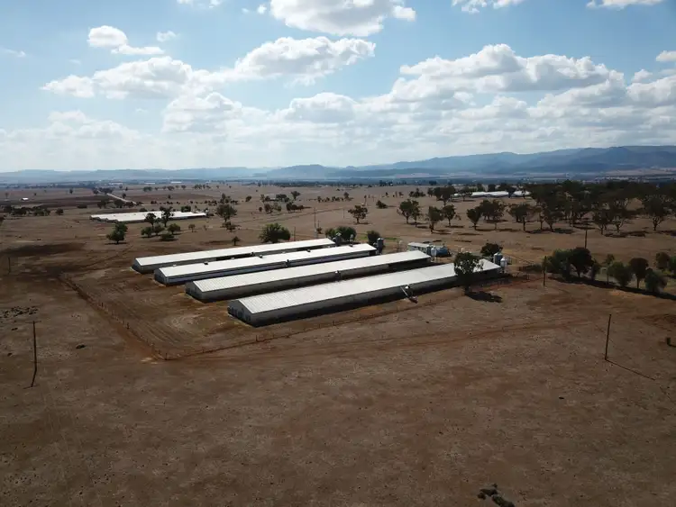 Fourth view of Homely rural property listing, 244 - 346 Gidley Siding Road, Tamworth NSW 2340