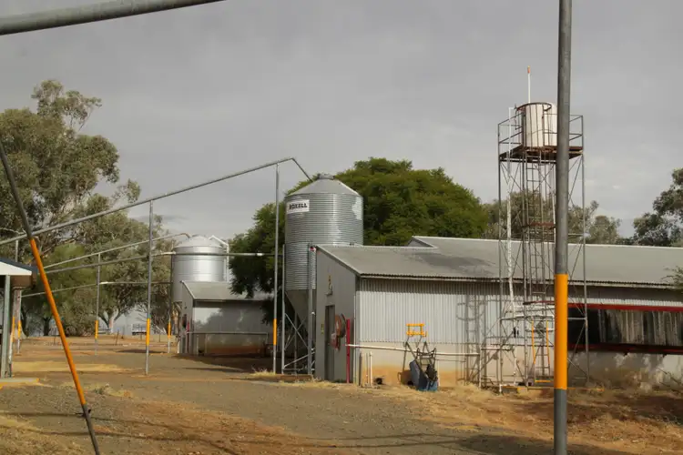 Sixth view of Homely rural property listing, 244 - 346 Gidley Siding Road, Tamworth NSW 2340