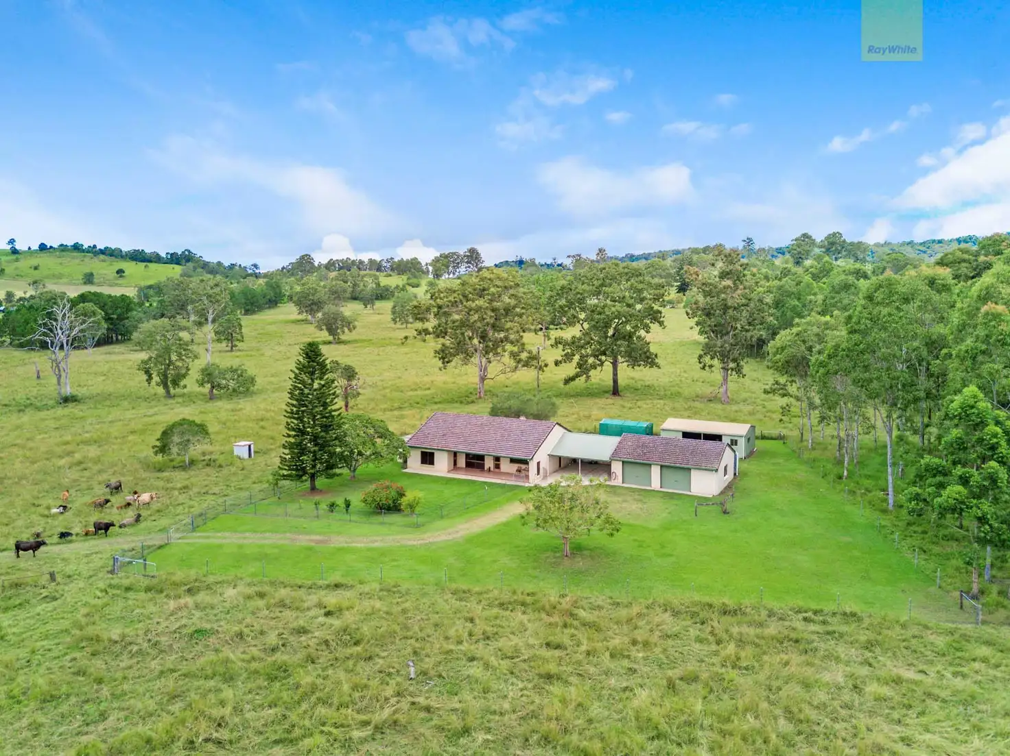 Main view of Homely rural property listing, 65 Toohey Road, Caniaba NSW 2480