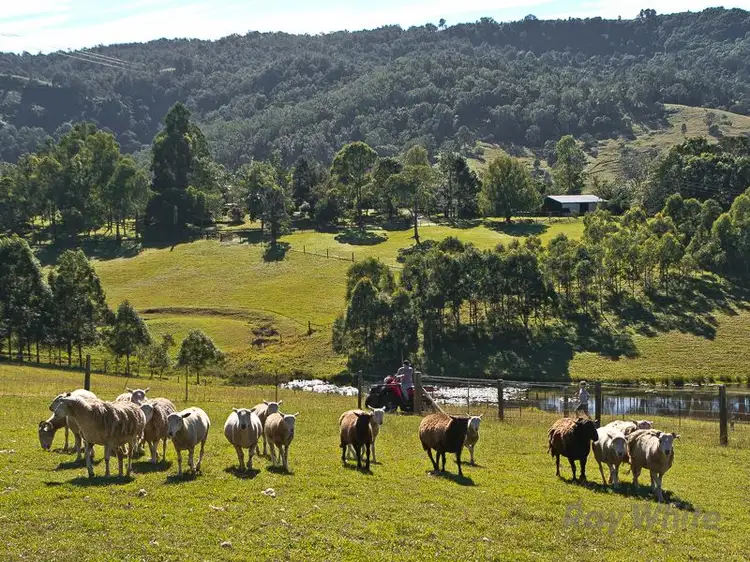 Main view of Homely rural property listing, 488 Mount Pleasant Road, Mount Pleasant QLD 4521