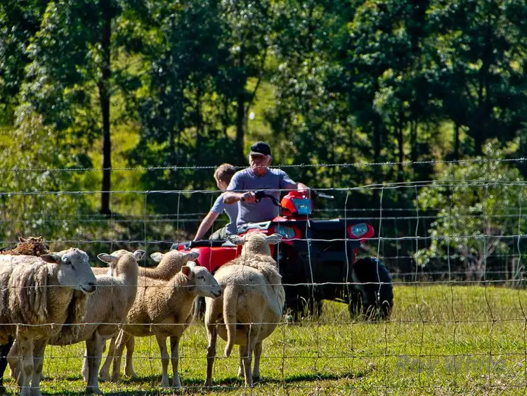 Fourth view of Homely rural property listing, 488 Mount Pleasant Road, Mount Pleasant QLD 4521