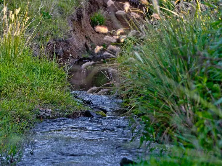 Fifth view of Homely rural property listing, 488 Mount Pleasant Road, Mount Pleasant QLD 4521