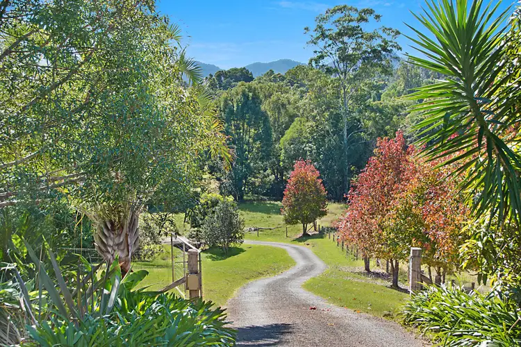 Second view of Homely rural property listing, 335 Chilcotts Road, Chillingham NSW 2484