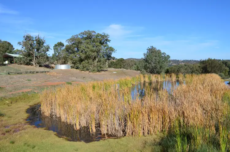 Seventh view of Homely land listing, 138 Valley View Drive, Chittering WA 6084