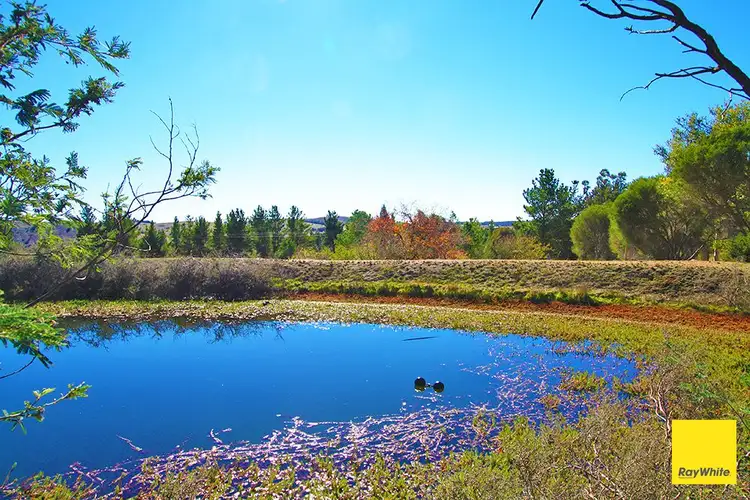 Sixth view of Homely rural property listing, 468 Norton Road, Wamboin NSW 2620
