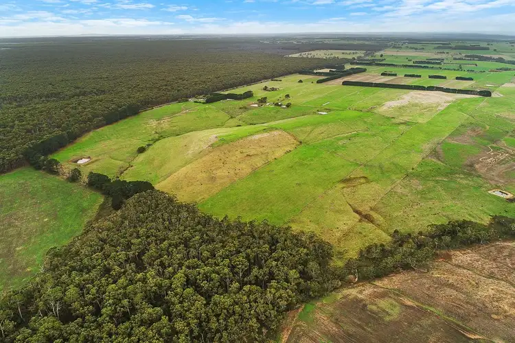 Fourth view of Homely rural property listing, 206 Timboon-Colac Road, Simpson VIC 3266