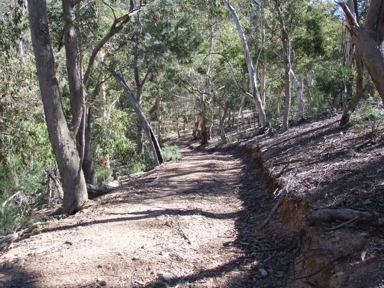 Fifth view of Homely rural property listing, Address available on request