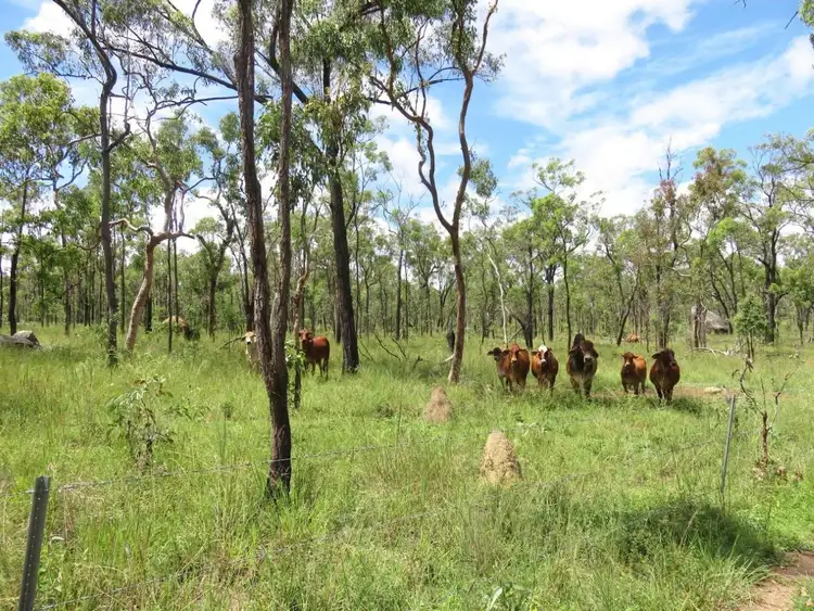 Seventh view of Homely rural property listing, Address available on request