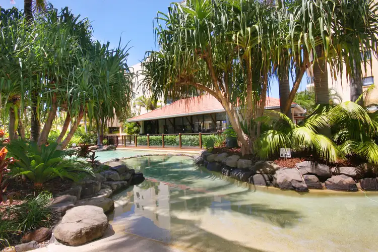 533/21 Wirraway Street, Alexandra Headland QLD 4572