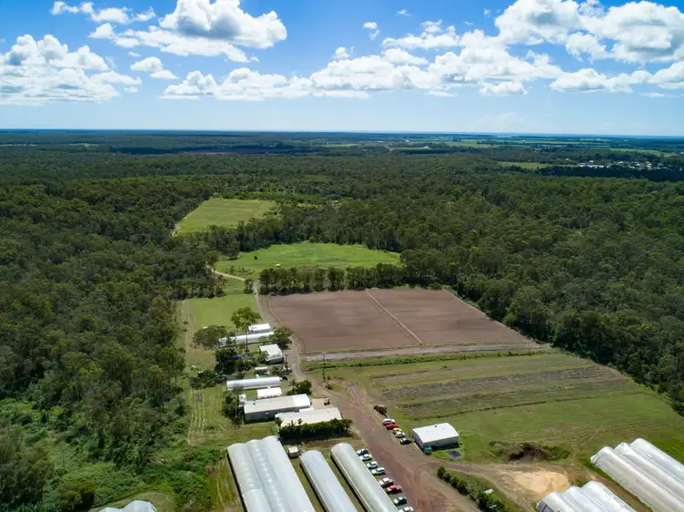 2034 Rosedale Road, Avondale QLD 4670