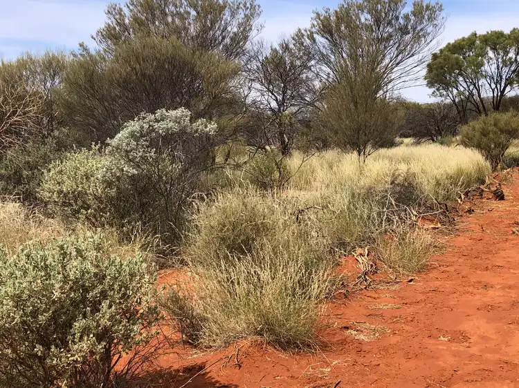 Fourth view of Homely rural property listing, Winderie Station, Gascoyne Junction WA 6705