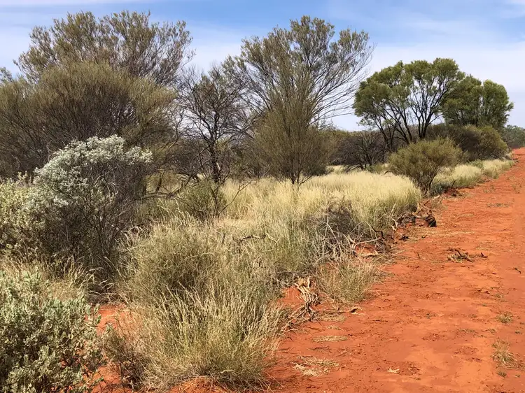 Fifth view of Homely rural property listing, Winderie Station, Gascoyne Junction WA 6705