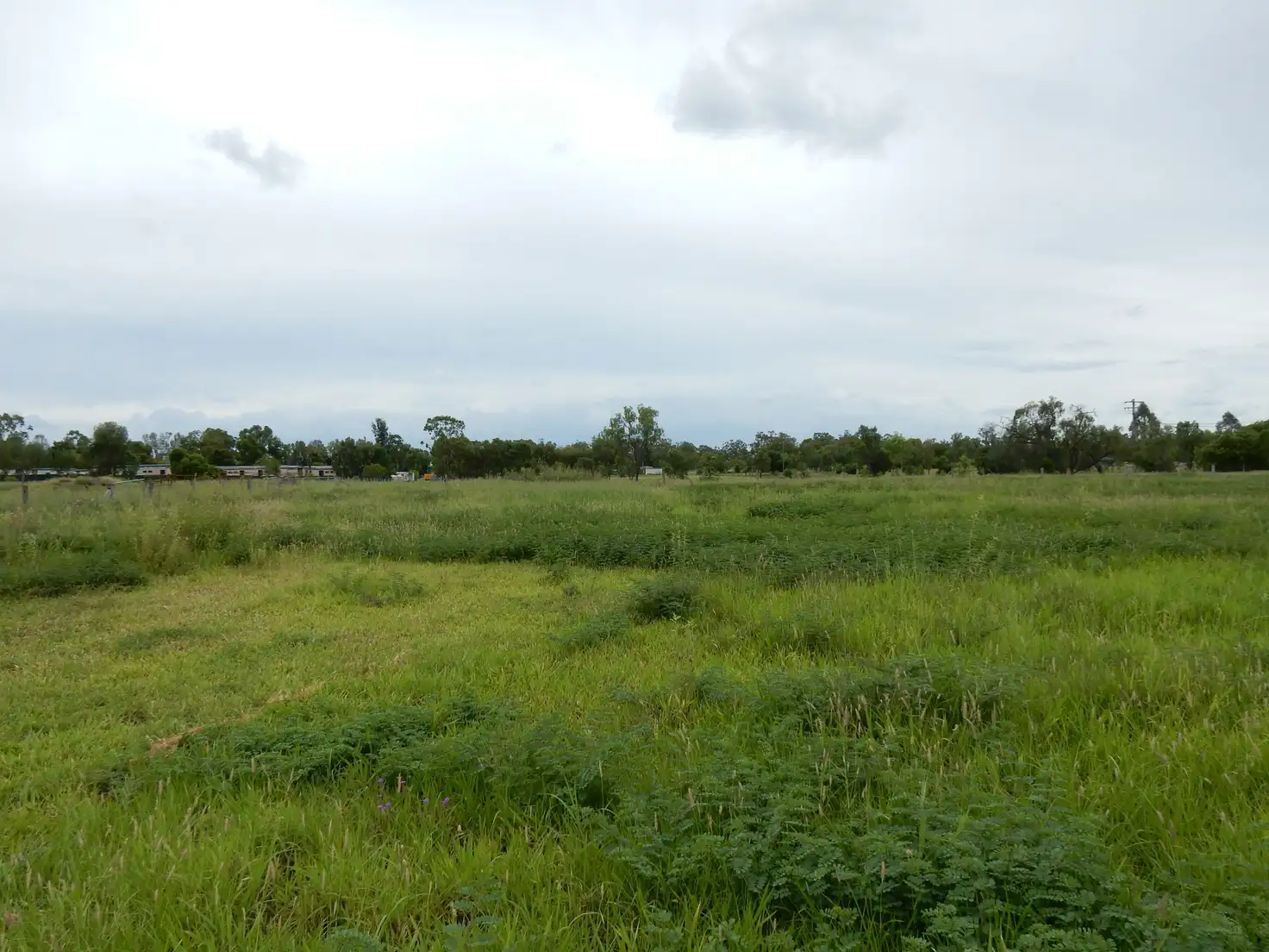 Main view of Homely land listing, Lot 98 Daveys Road, Baralaba QLD 4702