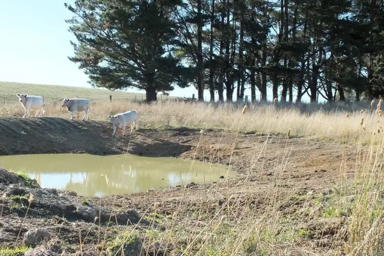 Fifth view of Homely rural property listing, 281 O'Connell Road, Oberon NSW 2787