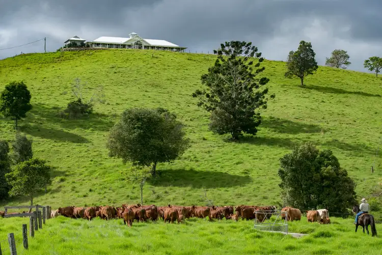 Second view of Homely rural property listing, 24 Duncan Road, Mount Mee QLD 4521