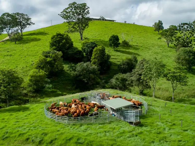 Third view of Homely rural property listing, 24 Duncan Road, Mount Mee QLD 4521