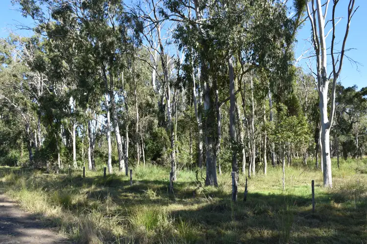 Seventh view of Homely rural property listing, Lot 299 DP 755627 Ellangowan Road, Yorklea NSW 2470
