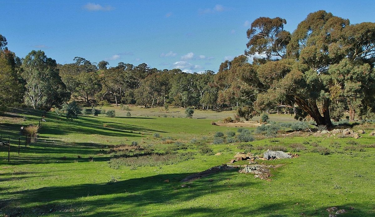 Second view of Homely land listing, CA B15D, B15D1 Spring Flat Road, Heathcote VIC 3523